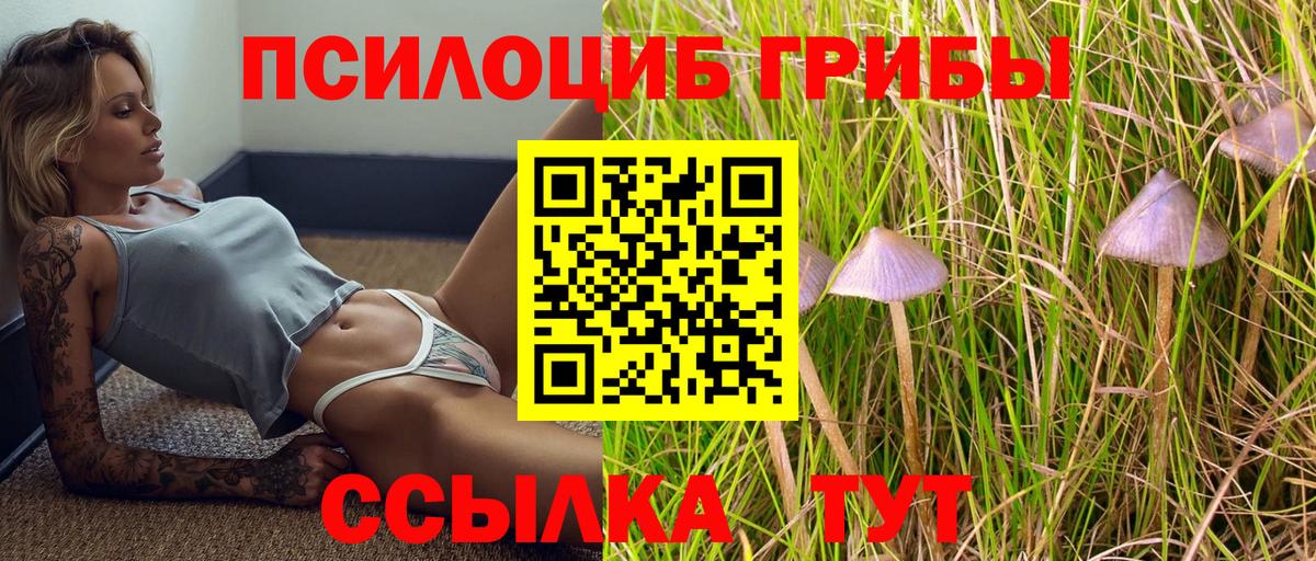 Псилоцибиновые грибы MAGIC MUSHROOMS Кинель