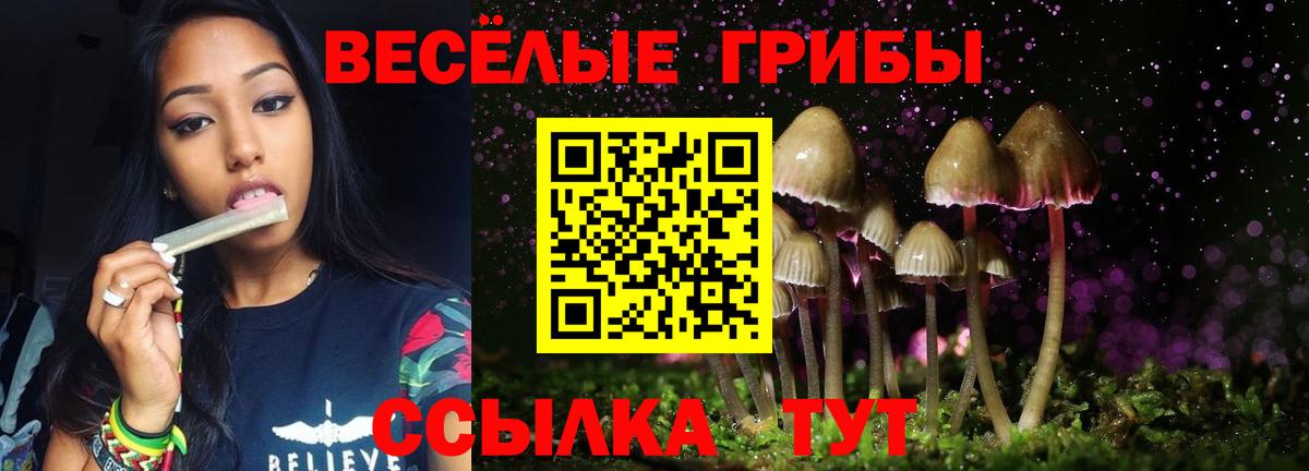 Псилоцибиновые грибы прущие грибы  хочу   Кинель  Вход с VPN 